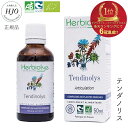 テンダノリス 50ml ボディケア 無農薬 ハーブ つり こりやすい スポーツ トレーニング ヨガ アクティブ 植物発酵エキス ジェモセラピー 急な運動 腱 筋肉 ウォームアップ めぐり 天然 オーガニック サプリ ドリンク 植物 無添加 天然 ペットOK エルビオリス 発酵カシス