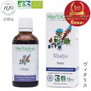 ジェモセラピー ヴィタリス 天然 エナジードリンク 植物療法士監修 自然食品 無農薬 無添加 オーガニック 意欲 快活 活力 元気 疲労 疲れ 生命力 ポジティブ ハーブ リラックス 勉強 仕事 やる気 サプリメント エルビオリス 発酵カシス フィトテラピー 50ml