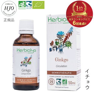 WFZs[ C`E  L  XbL _ Y I[KjbNVR Tvg L W f b  ߂  n[u  a  