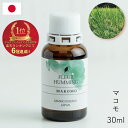 ジェモセラピー マコモ 国産 新芽 無農薬 無添加 飲む チンキ 元気な毎日に 浄化 まこも 疲れやすい 腸活 潤い 真菰 …