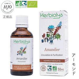 WFZs[ A[h _ y₩ {fBoX R TT z  ߂    ̌^Ǘ RHi AÖ@ďC XbL AGLX VR Tvg n[u 