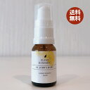 【送料無料】オトギリソウ セントジョンズワート 国産 無農薬 フィト ハーブ 休息 天然 サプリメント ジェモセラピー イライラ 憂鬱 フラワーエッセンス サンシャインハーブ レスキュー 神経 ストレス リラックス ポジティブ レメディ ホメオパシー スプレー ペットOK 10ml