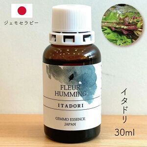 WFZs[ Y C^h y₩ X[Y Ɏ Տ ֐ _ Y VR I[KjbN Tvg AÖ@mďC RHi |tFm[ n[u XbL AGLX `