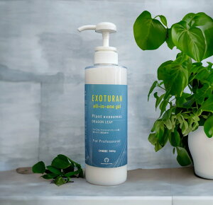  eʃTCY p Sgp e 500g A GN\\[ q I[CWF Rh S Y RX RXp AM[ pb`eXg hSt[c ې EXOTURAN GN