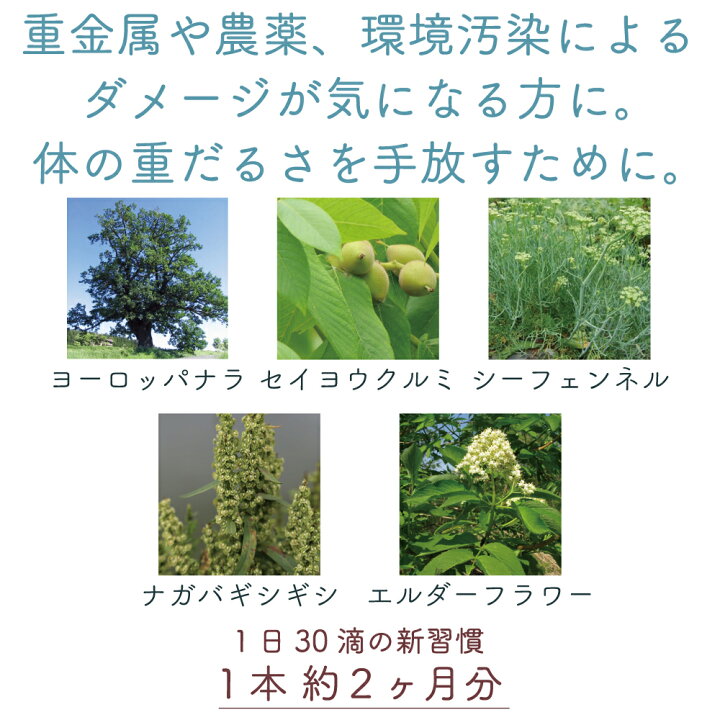 楽天市場】【予約販売4月末発送】 ドレノリス 重金属 水銀 有害金属 