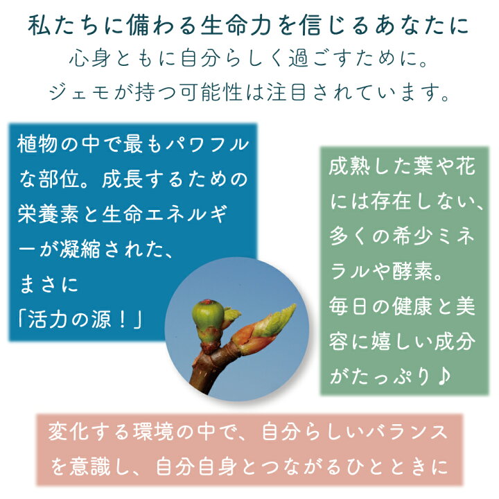 楽天市場】ジェモセラピー 国産 アカマツ 赤松 松葉 松葉エキス 30ml 