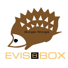 EVIS B BOX　楽天市場店