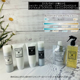 【 シャンプー ・ トリートメント ・ リペアコンク ＆ローション 】 集中ケア剤 のセット フラーレン EGF エルカラクトン アミノ酸 白髪改善 美容室専売 ヘア つや 頭皮 艶 ツヤ ヘアケア 抜け毛 エイジングケア 頭皮ケア 髪 ツヤツヤ 髪の毛 サラサラ 送料無料