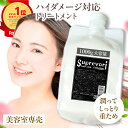 美容室専売 ケラチントリートメント ヴェルモア ヘアパック 1000g しっとりタイプ / アルガンオイル プロテオグリカン フラーレン EGF 美容室専売品 白髪改善 髪質改善 ヘア ケラチン ツヤ ヘアケア 抜け毛 エイジングケア 頭皮ケア さらさらケア 送料無料