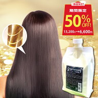 ＼最後の半額セール・50％OFF／美容室専売 ケラチントリートメント しっとりタイプ / アルガンオイル プ…