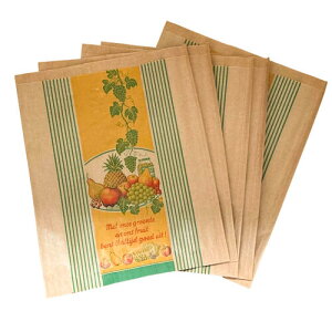 I_@ʕ̑ Chi5j @킢@q@COm@A@}VF܁@R[W@bsO