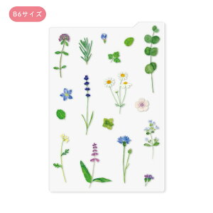  B6TCY ؉ԁEn[u 킢@@q@蒠@XPW[