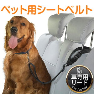 ybgpV[gxg Ԑp [h  V[gxg Sxg ϋv ^ wbhXg  ߉\ ubN pJ[pi