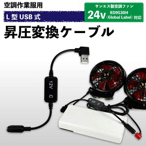 TGX󒲕_ 2025NŐVfRD9530H Global LabelΉ USBA_v^[ 󒲃EFA t@tƕQC3.0oCobe[ڑ 7V12Vɏ ϊP[u L^ USB-A MǑ΍ y12