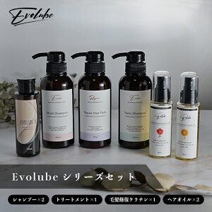Evolube V[YZbg A~m_ Vv[ g[gg єC P` wAIC e@ e@ Tꔄi GCWOPA _[WPA ˂ XN pT  S
