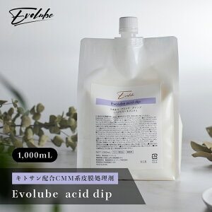 Evolube acid dip LgTzCMMn疌 1000ml Ɩp e@ e@ Tꔄi Xg[g J[ kы p[} wAPA