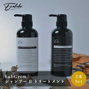 Evorube FabGrow Shampoo 500mL & Treatment 500g 2{Zbg Vv[ g[gg sfILVWz  LgTn e@ e@ Tꔄi \h GCWO wAPA ̓