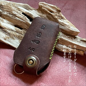 RAV4phev nA[phev X}[gL[Jo[ X}[gL[P[X Z~I[_[ C^AU[ Mtg