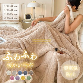 ＼先着500円OFF／ 洗濯ok ふわふわ 毛布 もこもこ 厚手 毛布 冬用 ブランケット 大判 北欧 掛け毛布 ひざ掛け 掛け布団 毛布 ひざ掛け 毛布 膝掛け ブランケット 厚手 毛布 厚手 膝掛け 毛布 肩掛け 毛布 ダブル シングル セミダブル ダブル おしゃれ 洗える 秋冬夏春