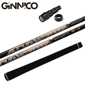 Ab^X Xs[h Vtg UST}~ WjR hCo[  X[ut K̔X CIX|[c GINNICO