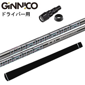 WjR  X[ut OHP~J fBA}i GT Vtg K̔X