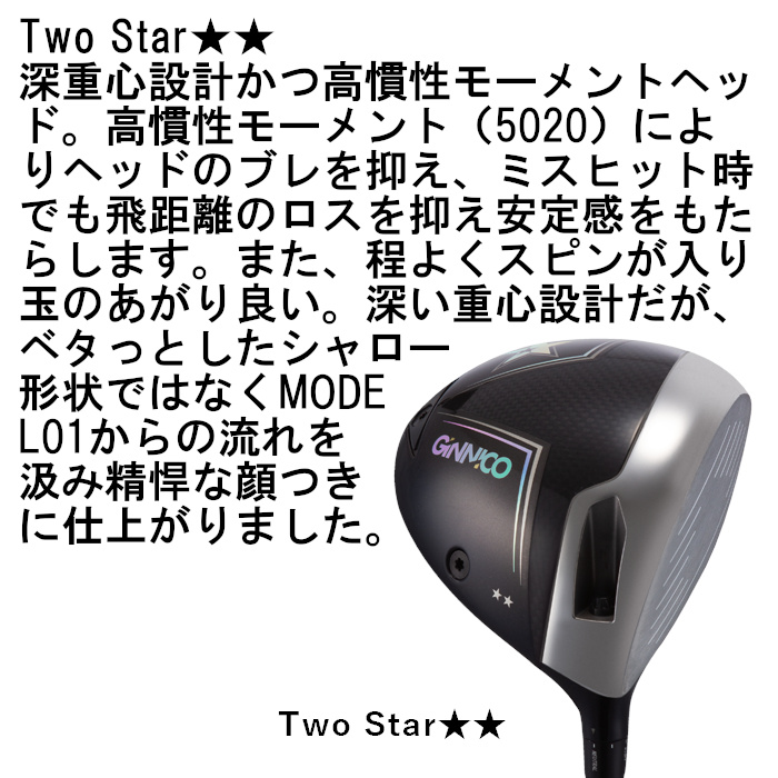 限定モデル ジニコ ドライバー モデル02C ｜ シンカグラファイト ネオ