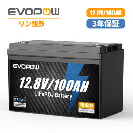 Evopow リン酸鉄リチウムイオンバッテリー 12.8V 100Ah LiFePO4電池 充電器 走行充電器 内蔵100AのBMS 長寿命4000サイクル回数 コンパクト蓄電池 直列並列 キャンピングカー 車中泊 アマチュア無線 防災 停電 ソーラー充電