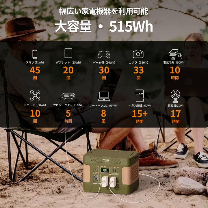 楽天市場】【P5倍+クーポン利用で27,800円】楽天1位16冠達成Evopow  