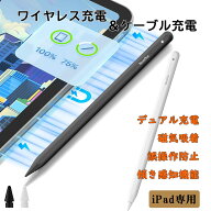 スタイラス ペン iPad ワイヤレス Type C デュアル充電モード 【 Novaplus A8SE 】アップル ペンシール …
