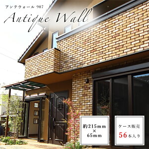 yǗpXCXK AeEH[907 CG[uE~bNX P[X̔(56{)zAeB[N Be[W F  ubN XCX × O GNXeAysE