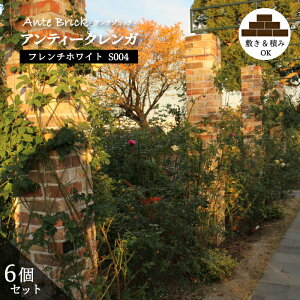 _11/1 _tf[聚|Cg10{I^yBe[W× AeubN t`zCg S004(6Zbg)z ÃK ItzCgn GNXeA  K[fjO  