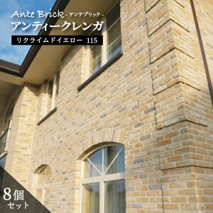 yBe[W× AeubN NChCG[ 115(8Zbg)z CG[n GNXeA  K[fjO Av[`  gy[J[iEsz