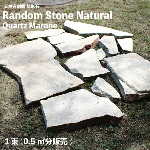 _11/1 _tf[聚|Cg10{I^y` _Xg[ i` NH[c}[l 1̔(0.5đ)z XebvXg[ NI[c Ήp ~bNXJ[ DIY 