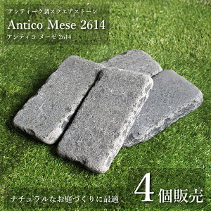 y` AeBR[[2614 1̔(4)z VR  26cm×14cm GNXeA  K[fjO hCK[f ~ Av[` 