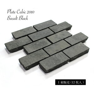 _11/1 _tf[聚|Cg10{I^yv[gL[rbN2010 ubN 1̔(12)z sR ~   ` ؂