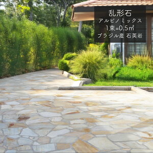 _11/1 _tf[聚|Cg10{I^` ΍ VR  Av[` ~ F CG[ x[W CG[~bNX  XCX   R΁ysGhV[Y A