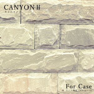 yǗpXg[^C LjI2 P[X̔ 4TCY16 CG[(24)z ǖ Ǎ ΍ S VR GNXeA DIY   ԏ