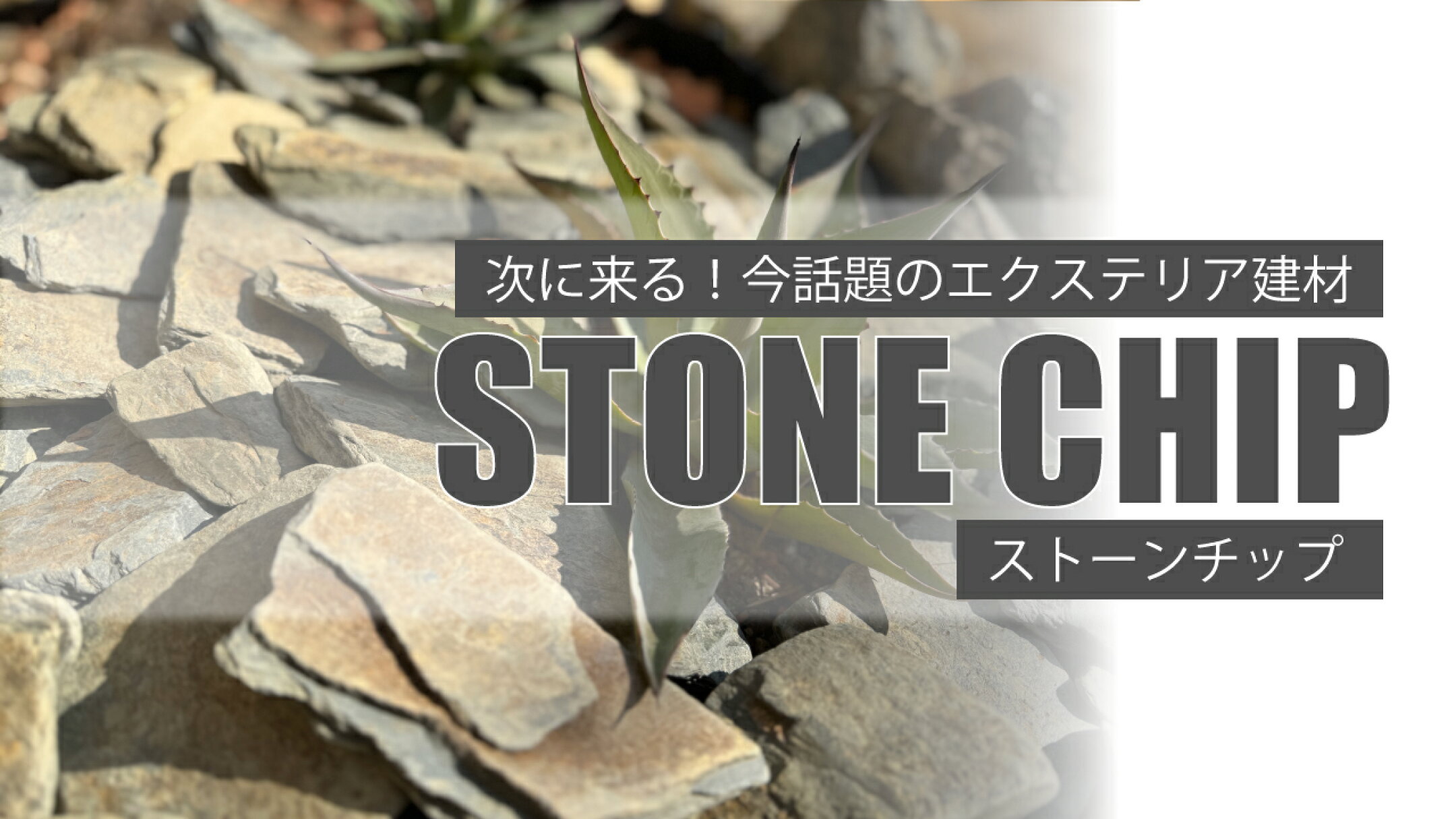 ストーンチップの特集