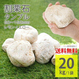 u CG[ 20kg ۂ ^u F x[W  K[fbN bNK[f 낽 SS K[fjO DIY  G΍ h  和 u VR R΁yO