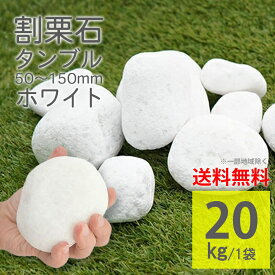 庭石 ホワイト 20kg 丸い タンブル 白色 割栗石 置き石 砕石 ごろ玉 天然石 自然石 置くだけ DIY 雑草対策 防草 ロックガーデン ガーデンロック ガーデニング 玄関【グランドロック タンブル ホワイト 20kg】