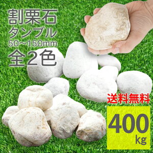  S2F zCg CG[ ^u ۂ F F 400kg(20kg×20) e I u K[fbN bNK[f ې Ӑ O\ DIY G΍ h u  K[fj