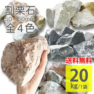 I t 5cm-15cm 20kg S4F 傫ߍ 낽   DF sN CG[ u h h K[fbN 嗝  Ӑ  GNXeA O\ u  K[fjO