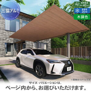 �J�[�|�[�g H22 �ď́F5631 ��{�^�C�v F[2] (�G�t�c�[) �V��ށF�ؒ��F �ϕ������x�F����40m/s����(�ϐϐ�ʁF20cm����) ��3�{ ����2200×���s5600×�Ԍ�3100mm �O���A���~ �O�����R �t���b�g�^ �Ԍ� ��