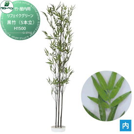 【無料★特典対象】 人工植物 グローベン リフェイクグリーン 黒竹（5本立）　H1500 竹/竹リーフ・屋内用 A70NT025 完成品