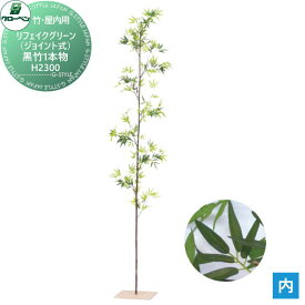 【無料★特典対象】 人工植物 グローベン リフェイクグリーン 黒竹1本物　H2300 竹・屋内用 A70NC022C 完成品