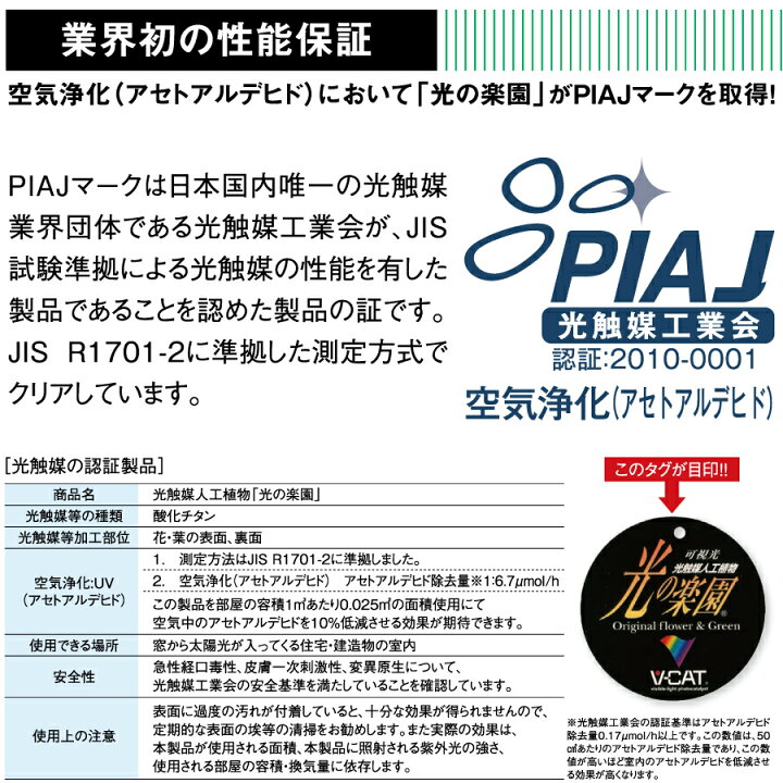 楽天市場】【無料☆特典対象】 光触媒人工植物 株式会社アート 