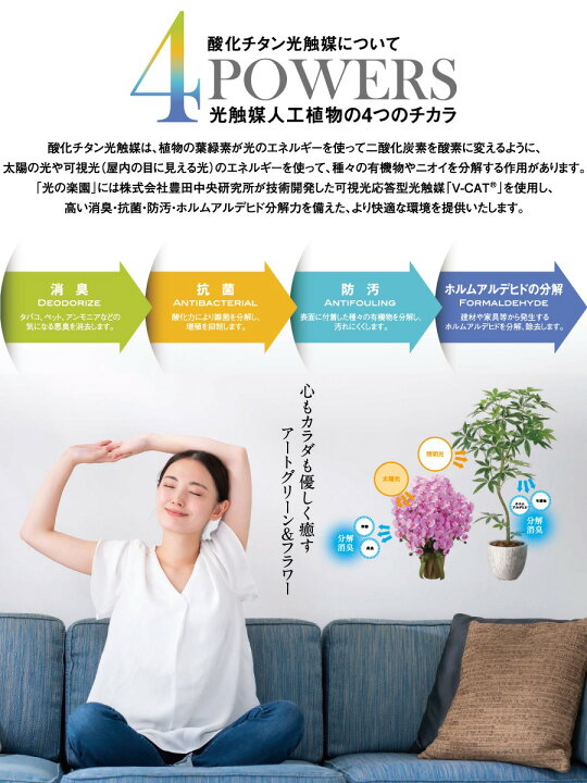 楽天市場】【無料☆特典対象】 光触媒人工植物 株式会社アート 