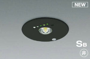 RCY~Ɩ KOIZUMI ^ pƖ AR50623 SB` LEĎ^ pnQ13W 100