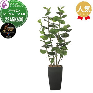 y|CgUPzyTΏہz G}lHA ЃA[gNGCV CeA tFCNO[ A[o^Cv A[oV[O[v 1.8m 2245K630 ̊y L R h