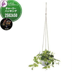 y|CgUPzyTΏہz G}lHA ЃA[gNGCV CeA tFCNO[ X^CbVO[ `[[nMO 2582A50 ̊y L R